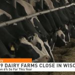 Wisconsins Dairy Purge FSA Issues DMC Payments 1