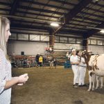 Dairy farming in the delta proves interesting 1