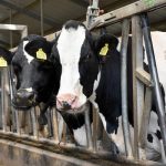 Dairy group calls proposed siting rule unworkable unfair 1