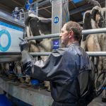 Dont let dairy farming get lost amid the media noise 1