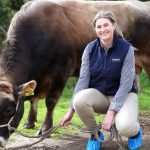 Exports of Aussie dairy genetics to China is booming 1