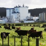 Fonterra bombshell 1