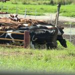 Governor Evers and Senator Baldwin tour local dairy farm and discuss industry issues 1