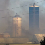 Hundreds of cows die in massive barn fire near Steinbach 1