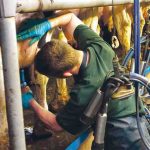 Why consumers around the world are buying into the British dairy farming story