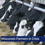 Wisconsin farmers in crisis 1