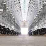 Deyi Dairy advances on the path of rural revitalization