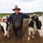 Drought stricken dairy farmers seek south west Victorias greener pastures