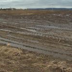 Grants helping Vermont dairy farmers reduce runoff