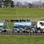 Kiwis can thank dairy sector