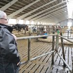 Neighbours milk cows in organic partnership