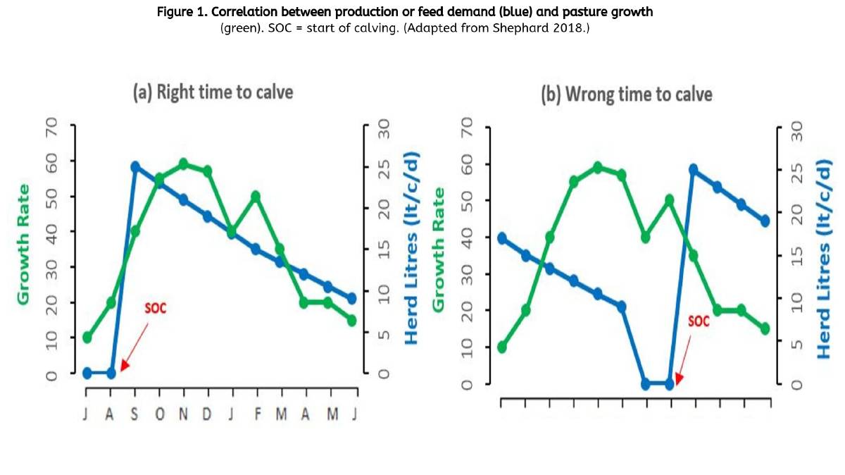 Seasonal single calving lifts efficiency in Australian herds1