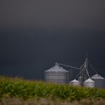 U.S. farmers battered by low commodity prices and trade war brace for things to get worse