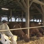 Vermont dairy farmers reminded of price protection deadline