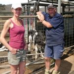 Coastal dairy farmers and communities feeling effects of drought too