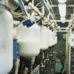 Dairy Council for NI in doomsday no deal Brexit warning