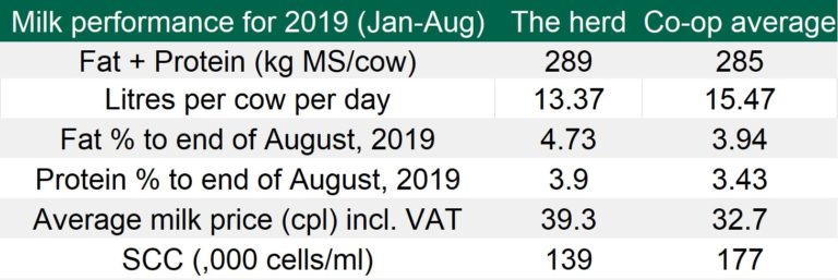 Dairy focus1