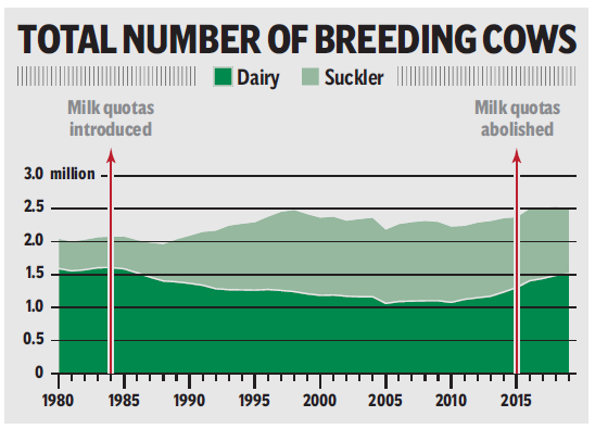 Dairy numbers continue to surge but suckler cow herd in freefall1