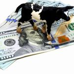 Dairy prepares for potential 2020 recession