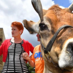 Hanson clinches support for dairy inquiry