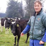 Many new welfare standards for dairy cattle already in place