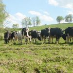 Modern dairy production efficiencies reducing environmental impact