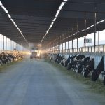 October Dairy Outlook