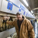 U.S. dairy farmers long for U.S. China trade progress