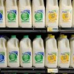 Australian dairy company sold to China in multi million dollar takeover