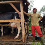 Indonesian dairy industry to benefit from Queenslands best