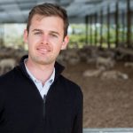 More farms look to make the switch from milking cows to sheep