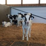 New lease sees market rent modernization for Agassizs UBC Dairy