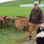 OAD milking brings environmental and financial benefits