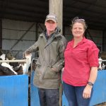 Sexed semen and genomics build Browns breeding plan