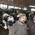 Too little too late for dairy farmers