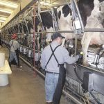 U.S. dairy exports rebounded in September