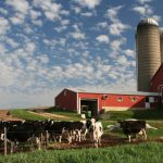 Wisconsin Dairy Alliance