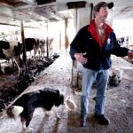 Wisconsins Statehouse Is at War Over Its Dairy Crisis