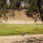 Cheap water for farmers to grow fodder