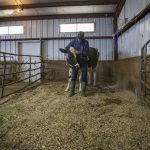 Dairy farming is on the decline. One East Side farmer sees agritourism as a path to survival