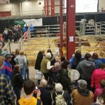 Pennsylvania Dairy Industry Set to Feature at Pennsylvania Keystone Farm Shows