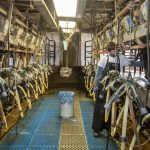 The Nations Biggest Dairy Is Failing Despite Relentless Government Intervention