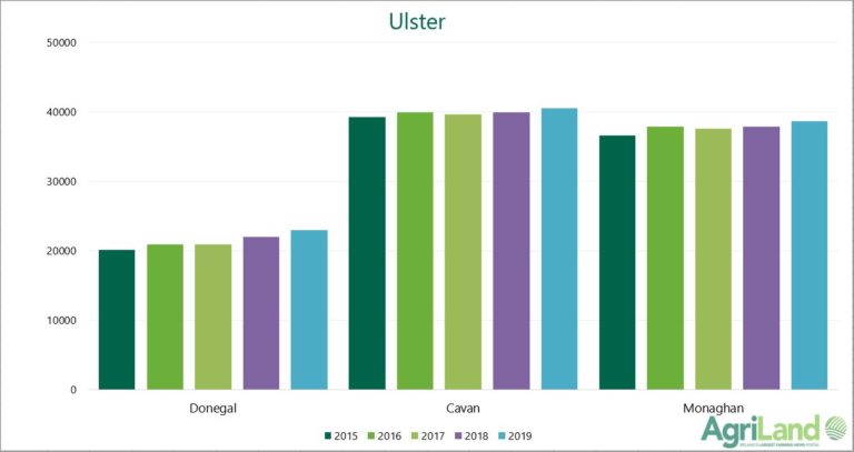 Where are our post quota 190015 extra dairy cows3