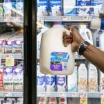 Dairy businesses struggling as the companies are filing for bankruptcies