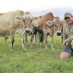 Experienced judges for International Dairy Week shows