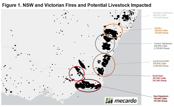 Farmers impacted by bushfires3