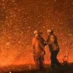 Fonterra unaffected by Oz bushfires