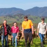 North east Victorian dairy farmers set their own course