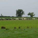 Producing more milk with less emissions