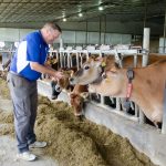 What do farmers think about milk pricing